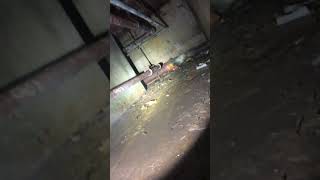 Expedition into the 3rd crawl tunnel pt 2 - Fairview Training Center tunnels