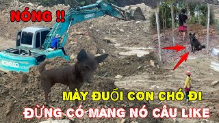 NÓNG ! Có Kẻ Ganh Ghét Muốn Đuổi Chú Chó Đi Ra Khỏi Khu Vực Sạt Lở Vùi Lấp Ngôi Nhà Của Nó