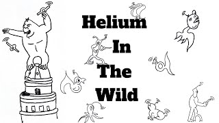 Helium In The Wild