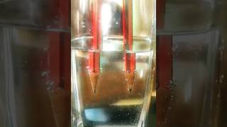 Electrolysis Of Water Science Experiment #sciencefacts #shorts #factshorts #ytshorts #youtubeshorts