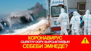 Коронавирус сыяктуу оору, кырсыктардын себеби эмнеде?