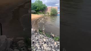 Prescott Ontario Canada Beach #youtubeshorts #beach #summer