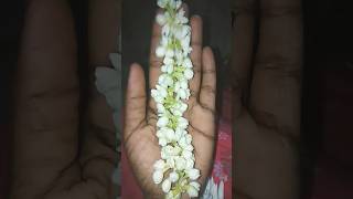 my fv flowers # ఆడవాళ్లందరికి ఇష్టం ఉన్న పువ్వులు ఈ మల్లె పువ్వులు# yt shorts#