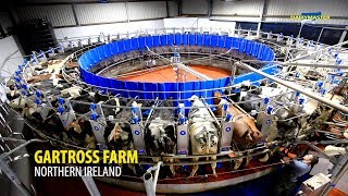 Milking cows in 50 Unit Rotary // Northern Ireland [Gartross Farm]