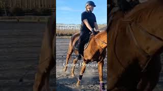 #music #equestrian #horse #horseride GO CHECK OUT NEW CHANNEL 👇 @SaxonSisters652