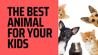 Which Family Pet is Right for You? A Guide to Choosing the Best Pet for Your Kids