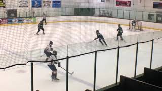 Sienna Chin Gerding - goal 3-17-2021