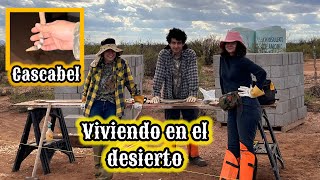 132~ AÚN HAY VÍBORAS DE CASCABEL🔥COMENZAMOS CON LAS ZANJAS🌵#rancho #desierto #vlog