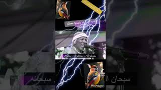 @ سبحان الله  سبحان الله