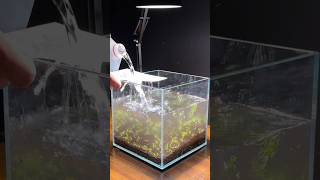 Filling a fish tank with water