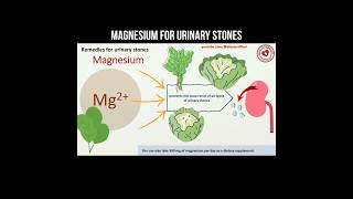 Magnesium for urinary stones #magnesium #kidneystone #kidneyhealth #chlorophyll