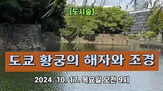 [도시숲] 일본 도쿄 황궁의 해자와 조경 🏯 2024. 10. 17. 목요일 오전 9시 촬영 🌳