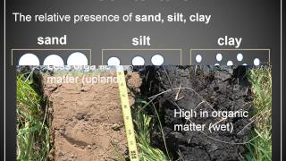 Lecture 6   Forest Soil Part 2 Video