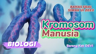 KROMOSOM MANUSIA - DEVI : #prediksisoal SIMAKUI 2023-SUKSES PTN PROGRAM BIMBEL KARANTINA #bimbelptn