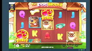 The Dog House 100 spins (2)