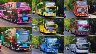 artis bus telolet kedatangan 2 unit armada  baru tunggal jaya bikin heboh