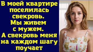 В моей квартире поселилась свекровь. Мы живем с мужем. А свекровь меня на каждом шагу поучает.