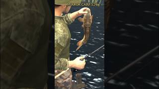 Peas mirror carp fish bait professional fishing 2 #Shorts