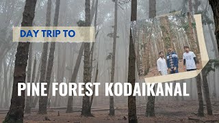 Forest visit at Kodaikanal Hill's pine forest #pineforest #kodaikanal #hills #letest #tranding