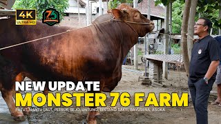 Update Kabar Terbaru Amunisi Team 76 Farm Harimau Sumatera