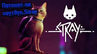 Потянет ли мой ноутбук Stray?