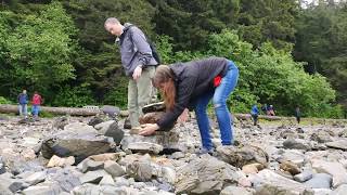 Alaska Rock Tower Building at Icy Strait Point