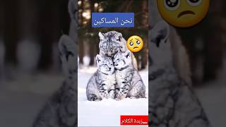 مساكين اهل الدنيا😥 #معلومات #اقوالوحكم