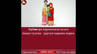 БАКТЫЛУУ БОЛУШТУН ЖОЛУ КАНДАЙ БОЛОТ