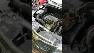 2016 Chevy Cruze problems