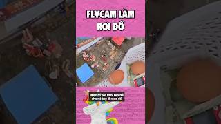 Flycam làm rơi đồ #haihuoc