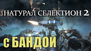 NS2 С ШУССОМ, ЛИЗОЙ, РАДУ, АСМОЙ, КОВРОМ и ЗРИЛАМИ