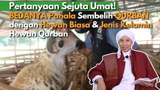 BUYA YAHYA | Tanya Jawab Seputar IBADAH QURBAN kuy Part 2