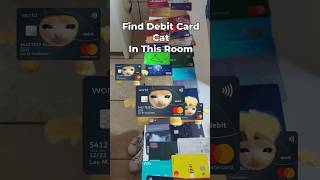 Debit Card Cat Finding Challenge