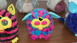 furby koleksiyonu