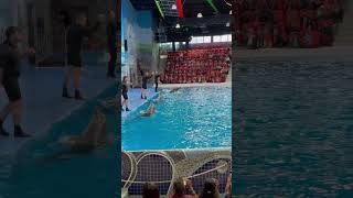 Dolphinarium Dubai #dolphinarium #dubai #dubailife #dubaidiaries #dubailife #dubailifestyle #shorts