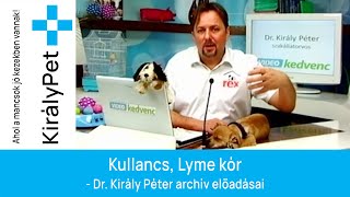 Kullancs lyme kór