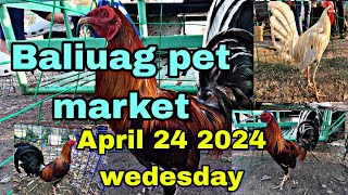 Baliuag pet market,April 2024 wednesday.