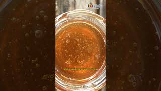 Mengapa Madu Tidak Mudah Basi? #madu #honey #FaktaMadu #mitos #viral #shortsvideos #trendingshorts