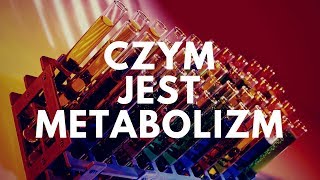 Czym jest metabolizm? | #46 Podcast Akademii Białego Fartucha