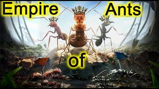 ant : the largest civilization in the world #facts360tv #civilization #antLife #antspecies #queenant