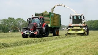 Valtra + Joskin silospace 20/40 + Claas Jaguar 890 gras hakselen in Nijemirdum