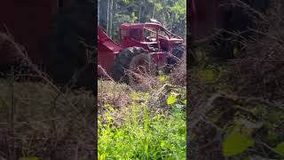 230 Timberjack skidder #skidder #detroitdiesel #timberjack