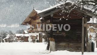 Wide shot of a snowy town with cat sitting on a log