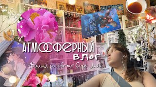 Атмосферный влог ||чтение «Башни рассвета» Сары Маас || мои будни