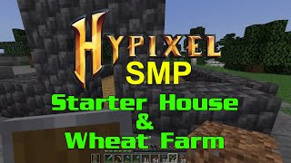 My Hypixel SMP Experience! - Starter Survival House & Wheat Farm - Minecraft Survival