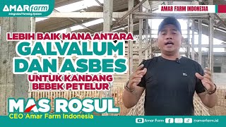 Lebih baik mana antara Galvalum dan Asbes untuk Kandang Bebek Betelur | Mohammad Rosul