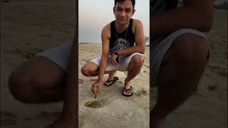 Jelly Fish @ Betalbatim Beach Goa