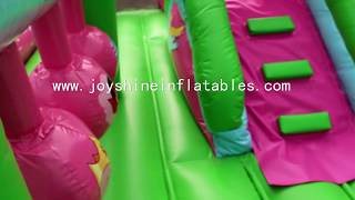 Princess Inflatable Amusement Park Playground: JS-C091