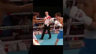 Shakur Stevenson Boxing Clinic vs Peter Mcgrail