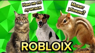 Открыл свой зоомагазин🦤 в Roblox